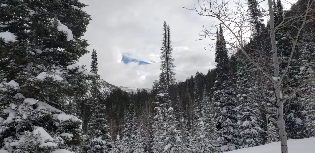 Snowshoeing, Utah, Tubbs Snowshoes, Winter Sports, Outdoor Adventure, Snow Trails, Mountain Terrain, Snowshoe Design